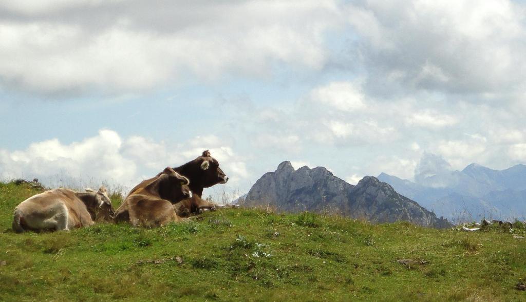 Alpenhotel Steirerhof Tauplitzalm ภายนอก รูปภาพ